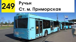 Автобус 249 "Ст. м. "Приморская" - Ручьи"