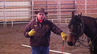 Developing Smooth Transitions And Guiding Your Horse