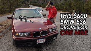 Stranded In A $600 BMW E36 With A Blown Head Gasket!