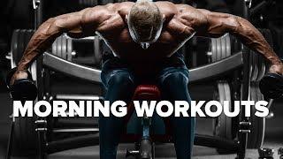 Morning Workouts - You'll Make NO Gains? | Tiger Fitness