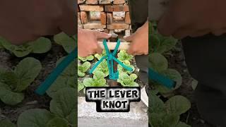 The Best Method for Easy Stake Pulling #knot #rope #technique