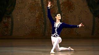 GRAND PRIX WINNER|Михаил Баркиджиджа- Prince Siegfried VAGANOVA PRIX 2018