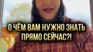 О чём вам нужно знать прямо сейчас?