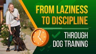 Laziness Vs. Discipline: How Dogs Make Your Life Better!