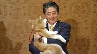 Japan's Abe oversees puppy handover to Russian Olympic champion