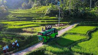 Angkutan Di Desa, Bikin Rindu Tapi Bikin Tegang || Purwajaya, Cihurip, Cikajang, Garut, Bandung