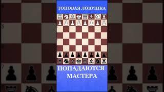 Топовая ловушка для блица в английском начале за черных. Попадаются даже мастера! #shorts