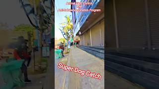 Super Dog Catch । How to catch dog #dog #streetdogplanet44 #ytshorts #vlog #pets