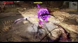 The Sharekhan Approval Quest - Sorceress gameplay 007 - BDO remastered