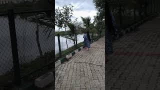 Feel the Nature  with Soothing Bird Sounds  #relaxing #shorts #ytshorts #nature #birdsounds #reels