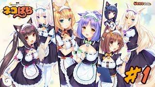 Nekopara Vol 3 Прохождение #1 Встречайте милые неко!!!