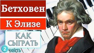 К Элизе на пианино обучение Урок №2 как играть разбор туториал легко медленно для начинающих ноты