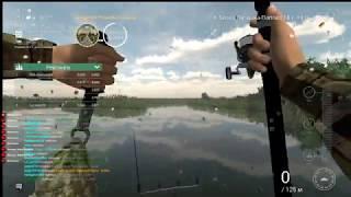 Fishing Planet. Эверглейдс. Спонсорское соревнование. Павлиний Басс