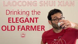 Tasting Laocong Shui Xian, the Elegant Old Farmer