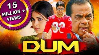 Dum (HD) - साउथ की ज़बरदस्त कॉमेडी फिल्म |Allu Arjun, Brahmanandam,, Genelia D'Souza, Manoj Bajpayee