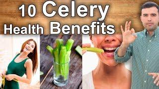 THE INCREDIBLE HEALTH BENEFITS OF CELERY - 10 Healing Properties of Celery for Health