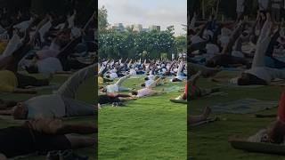 11th International Yoga Day‍️‍️‍️‍️‍️‍️‍️‍️#internationalyogaday #yogaforhealth