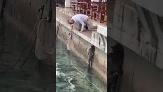 This Man Saved a Scared Cat 