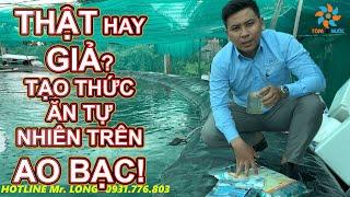 THỨC ĂN TỰ NHIÊN TRÊN - AO BẠC| Tôm & Nước - Long Đẹp Trai! -HOTLINE - 0931776803.