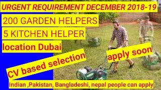 Helper jobs in dubai II kitchen helper in dubai II free working visa with good salary