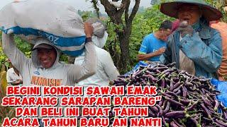 BEGINI KONDISI SAWAH EMAK,ENAKNYA SARAPAN BARENG" DISAWAH DAN BELI INI BUAT TAHUN BARU AN NANTI