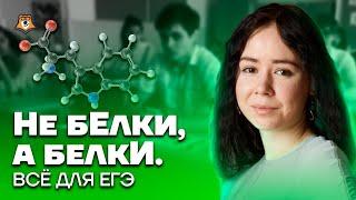 Не бЕлки, а белкИ. Все для ЕГЭ | Биология ЕГЭ 2023 | Умскул