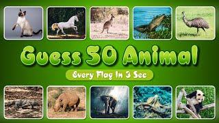 Guess the Animals in 3 seconds | 50 Animals | Guess the Animals | Quiz | M Graphics