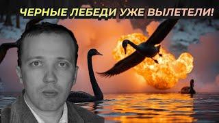 Дмитрий Адамидов - Черные лебеди уже вылетели!