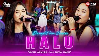 Ochi Alvira Ft. Diva Hani - HALU (Live Dangdut Version) | Jika ditakdirkan dia untukku akan ku jaga