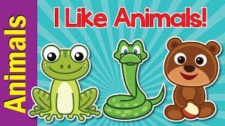 I Like Animals | Animals Song for Kids | Learn 12 Animal Names | ESL for Kids | Fun Kids English