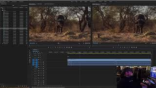 How to Set up an edit in Premiere Pro Redneck Tech Podcast