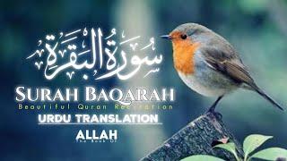 Beautiful Surah Recitation | Surah Baqarah with Urdu Translation