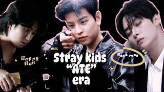 Things that stray kids did during ATE era