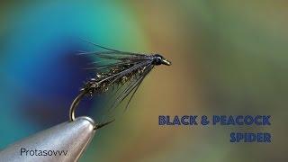 Fly Tying - Black and Peacock Spider