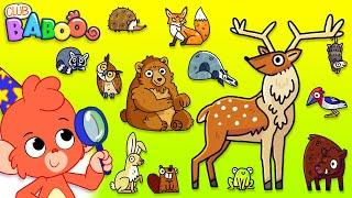 Club Baboo meets the Animals of the Forest | Do you know them all? | Club Baboo