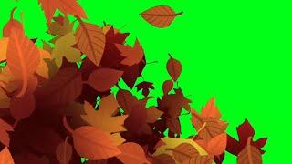 Autumn leaves transition green screen | Leaves transition green screen