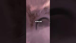 Rosecore