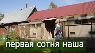 Пятая тренировка. летим  100 км. Спортивные голуби радуют. Бойные растут