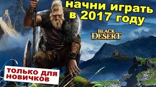 Black Desert (RU) - Как начать играть в BDO в 2017 (советы)