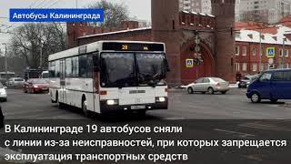 В Калининграде 19 автобусов сняли с линии из-за критических неисправностей