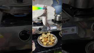 billi boli meon ka #trendingshorts #viralvideo