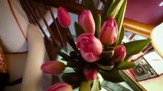 15 Second Vlog: Tulips