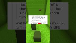mini is short for...