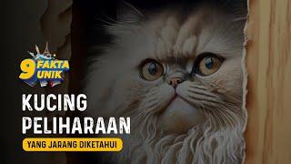 9 Fakta Unik Tentang kucing peliharaan yang jarang diketahui, Kamu wajib tahu