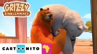 Polar Bear in the Desert | Grizzy and The Lemmings | Cartoons For Kids | @CartoonitoAfrica