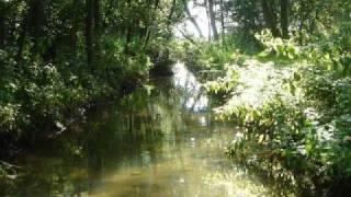 "The Brook" by Alfred, Lord Tennyson (read by Tom O'Bedlam)