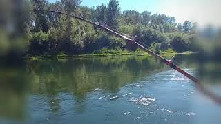A SAVAGE RIVER BEAST