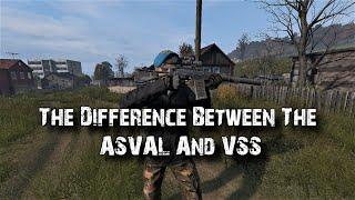 The Difference Between The ASVAL And The VSS!! (DayZ Experimental 1.11)