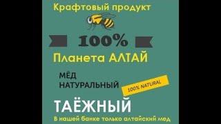 Мед Таежный, алтайский. Польза таёжного меда? Где купить Таёжный алтайский мёд?