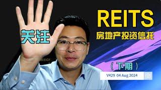 V429下: 9月降息可能增大，下周多关注REITS！新航业绩不佳，后市怎么看？ 银行股目前的趋势如何？| 航哥新加坡每周股评 (04.08.2024) #dbs  #sia